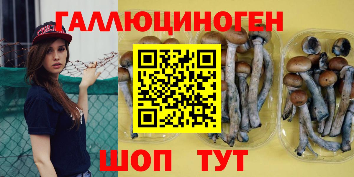 Псилоцибиновые грибы мухоморы  Вход с VPN  Галлюциногенные грибы мухоморы  Россошь 